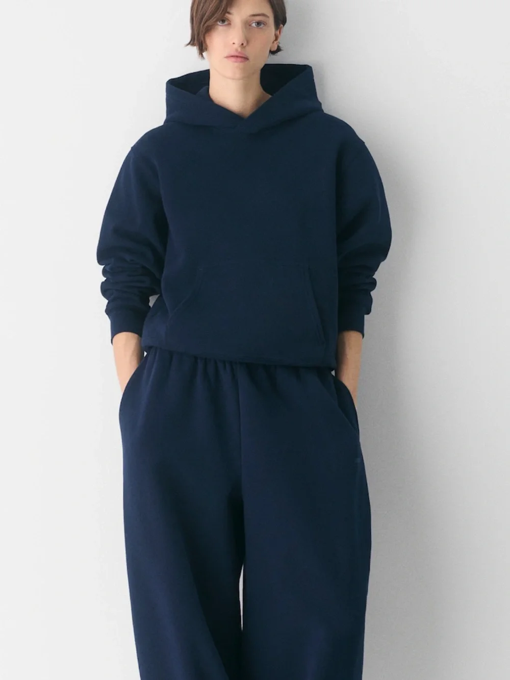 Aritizia cozy sweat fleece perfect hoodie